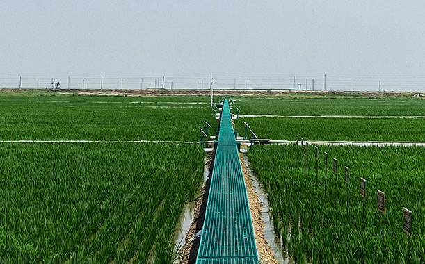 2023年度危險廢物污染環境防治信息