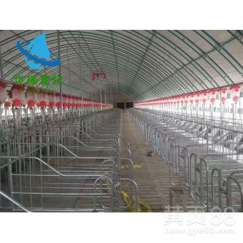 山東世瑞畜牧 專業大棚工程建設，為養殖戶保駕護航