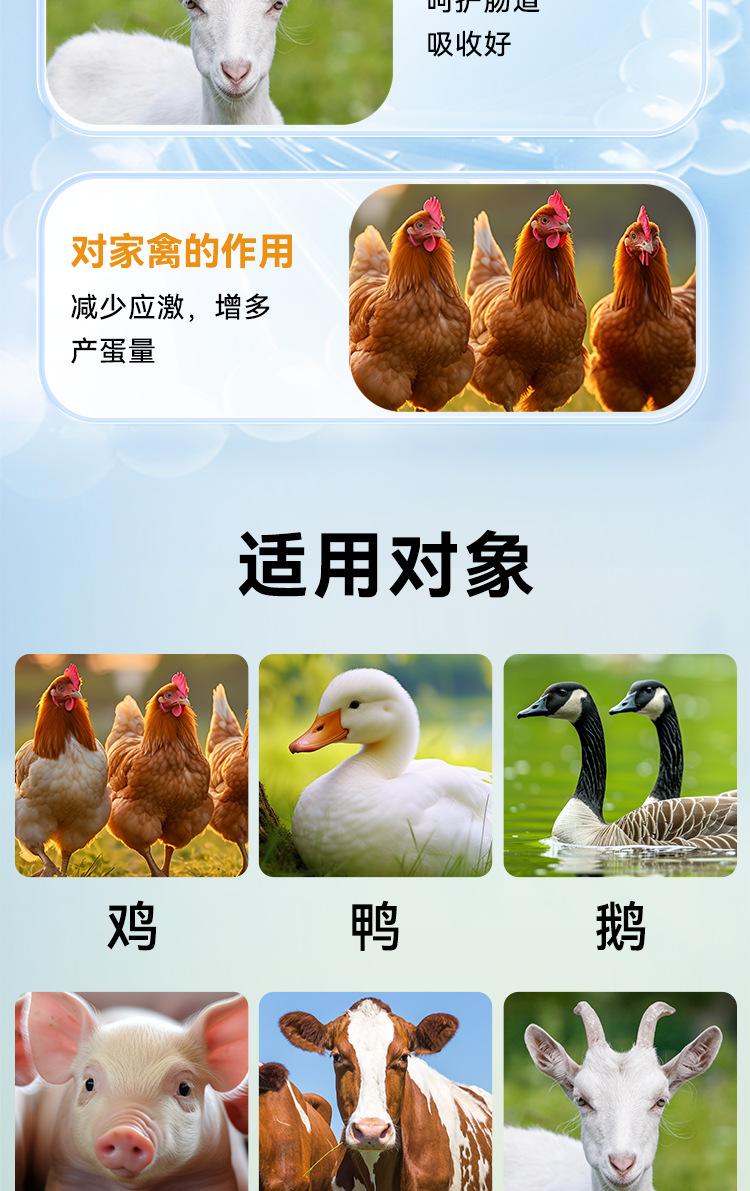 黃芪多糖貼牌定制 畜牧養(yǎng)殖源頭工廠的選擇指南